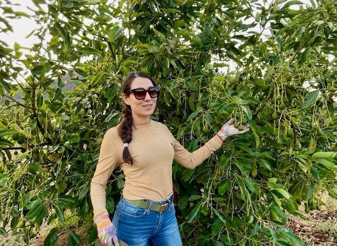 El zinc: mucho más que corregir hojas pequeñas‼️🌱🥑🍇🍒